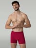 Muchachomalo 7er-Set: Boxershort in Mehrfarbig - für Herren