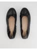 Gabor Ballerinas in Schwarz