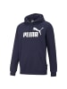 Puma Sweatshirt in Blau