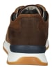 Bullboxer Sneaker in Braun