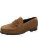 Paul Green Slipper in beige