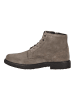 Geox Stiefeletten in Grau