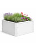 VCM  Metall Pflanzkasten Blumenkasten 50x40 Balora M in Weiß