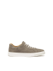 Kazar Sneaker Low in Taupe