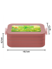 Mr. & Mrs. Panda Bento Box Blume Kleeblatt Design ohne Spruch in Rot Pastell