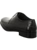 Lorenzi Schnürschuhe in schwarz