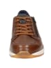 Sioux Sneaker Turibio-710-J in cognac