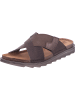 Fischer Markenschuh Pantolette in braun