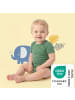 Schlummersack Bio Baby-Bodys kurzarm 5er-Pack in Dunkelgrün