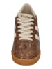 Gola Sneaker Low ELAN SERPENT in bunt