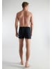 CECEBA Boxershort 5Er Pack Daytona in schwarz-dunkel-uni
