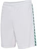 Hummel Hummel Shorts Wer 23/24 Fußball Unisex Erwachsene Feuchtigkeitsabsorbierenden in WHITE