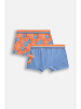 Coccodrillo Unterhose in bunt