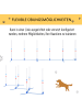 Pawhut Hunde Agility Set Weiß+Blau PE-Kunststoff