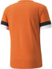 Puma Sportshirt "TeamRISE Jersey" in Orange
