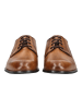 LLOYD Businessschuhe SABRE Cognac