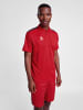 Hummel Polo Hmlauthentic Herren in TRUE RED