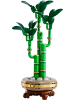 LEGO Botanical Collection Glücks-Bambus in Mehrfarbig ab 18 Jahre