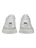 Steve Madden Sneaker Weiß/Grau