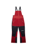 Berghaus MMTN ARETE DESCEND GTX BIB PANTS