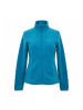 Jack Wolfskin Fleecejacke Gecko Recycled in Blau S