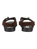 Steve Madden Sandalen Dunkelbraun