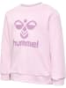 Hummel Trainingsanzug Mit Rundhalsausschnitt Hmlarine Crewsuit in WINSOME ORCHID