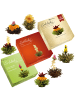 Creano 3x 6er BOX ErblühTee Grüner Tee + Weißer Tee + Grün/Weiß/Schwarz