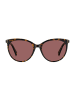 Polaroid Frauen Sonnenbrille Katzenaugen Braun