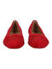 Paul Green Ballerinas Chili