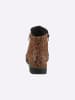 Heine Kurzstiefelette in schwarz-camel