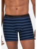 Tom Tailor Long-Pants 2Er Pack in blau-dunkel-Ringel