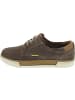 Camel Active Sneaker low Braun