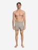 Hanro Boxer Casuals Daywear in hazelnut melange