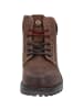Wrangler Stiefel in dk. Brown