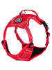 Reichstadt Reichstadt  Hundegeschirr  25RSP083 Red L