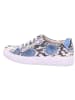 Solidus Sneaker Low in blau