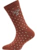 Hummel Hummel Long Socken Hmlalfie Kinder in COPPER BROWN