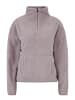 Venice Beach Sweatshirt VB Abby in gray dust