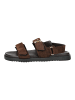 Steve Madden Sandalen in Dunkelbraun
