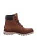 Fretz Men Boots  in Braun