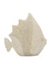 Mauro Ferretti Beigefarbene, fischförmige Kunstharzskulptur, 16,7 x 6,5 x 16,8 cm