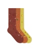 von Jungfeld Gemusterte Socken Icons Socken-Set in Field