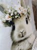 Chic Antique Kissenbezug HASE mit BLUMENKRANZ Grau 45x45 cm