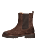 Geox Stiefelette in Dunkelbraun