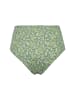 Studio Untold BH in olive