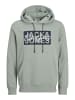 Jack & Jones Kapuzenpullover in Iceberg Green