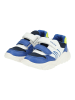 Geox Sneaker in Weiß/Blau