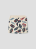 name it Shorts in Peyote Melange