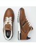 British Knights Sneaker Classor in cognacfarben/braun/schwarz/weiss